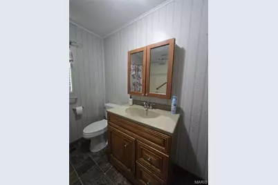 1301 N Carleton Street, Farmington, MO 63640 - Photo 32