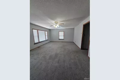 1301 N Carleton Street, Farmington, MO 63640 - Photo 20