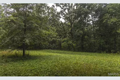 8578 Lizard Lane, Grubville, MO 63023 - Photo 50
