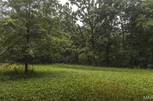 8578 Lizard Ln, Grubville, MO 63023 - Photo 50