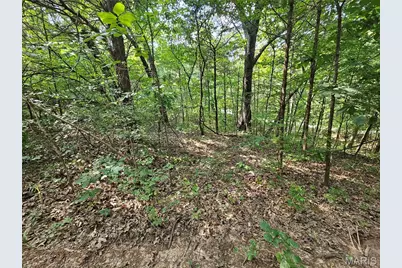 9468 Bent Tree Drive, Hillsboro, MO 63050 - Photo 2