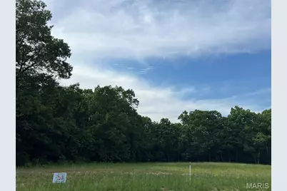 Lot 36 Holt Acres Court, Wentzville, MO 63385 - Photo 4
