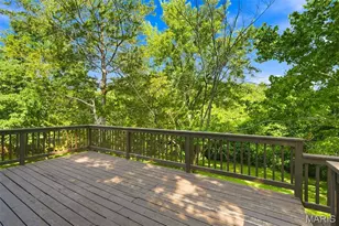 313 Kronos Dr, Olympian Village, MO 63020 - Photo 20