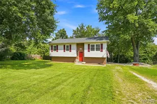 313 Kronos Dr, Olympian Village, MO 63020 - Photo 2