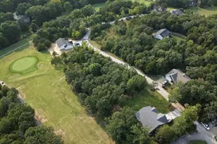 5 Lots Cotton Blossom Dr, Hillsboro, MO 63050 - Photo 1