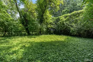 9708 Winkler Dr, Unincorporated, MO 63136 - Photo 6