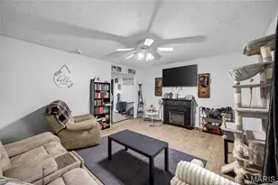 617 Willow Ln, Lebanon, MO 65536 - Photo 6