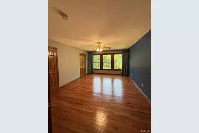 1255 Canepa Road, Festus, MO 63028 - Photo 14