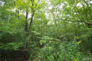4 14 +/- Acres Pendleton Lost Creek Rd, Warrenton, MO 63383 - Photo 1