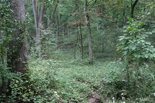 6 72 +/- Acres Pendleton Lost Creek Rd, Warrenton, MO 63383 - Photo 1