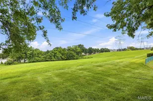 13019 Tiger Lily Ct, Saint Louis, MO 63146 - Photo 30