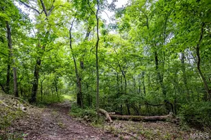 98 Wooden Nickel Dr, Foley, MO 63347 - Photo 84