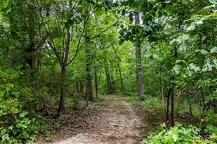 98 Wooden Nickel Dr, Foley, MO 63347 - Photo 72