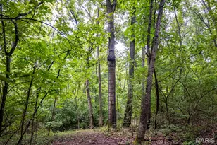98 Wooden Nickel Dr, Foley, MO 63347 - Photo 68