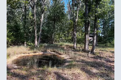 17499 Ostrich Drive, Lebanon, MO 65536 - Photo 10