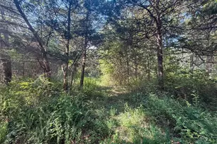 17499 Ostrich Dr, Lebanon, MO 65536 - Photo 16