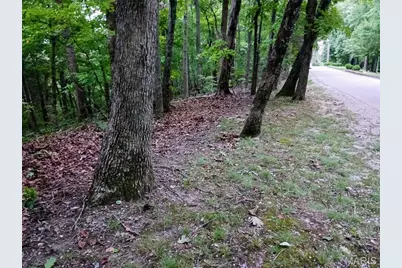 000 Fairfield Valley Road, Pacific, MO 63069 - Photo 8