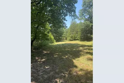 9007 Crossman Road, Bonne Terre, MO 63628 - Photo 44