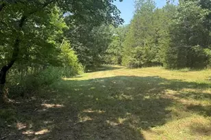 9007 Crossman Rd, Bonne Terre, MO 63628 - Photo 44