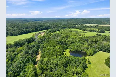 9007 Crossman Road, Bonne Terre, MO 63628 - Photo 30