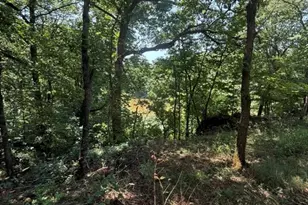 9007 Crossman Rd, Bonne Terre, MO 63628 - Photo 50