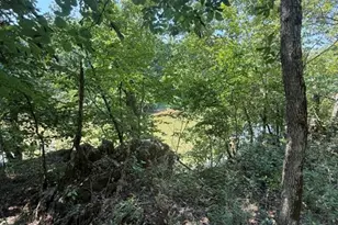 9007 Crossman Rd, Bonne Terre, MO 63628 - Photo 52