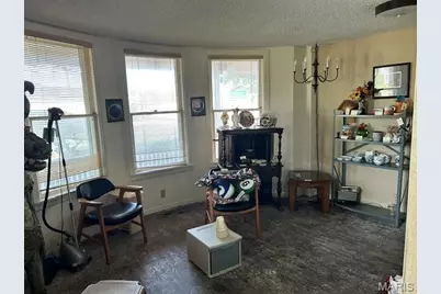 900 Cedar Street, Bismarck, MO 63624 - Photo 4