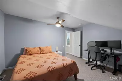 2869 Missouri Avenue, Saint Louis, MO 63118 - Photo 30