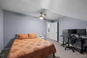 2869 Missouri Ave, Saint Louis, MO 63118 - Photo 30