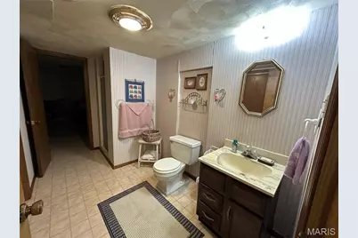 108 Tinsley Road, Bismarck, MO 63624 - Photo 50