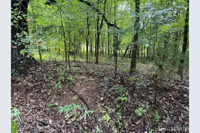 Tract 1 Bcr 810, Glendale, MO 63645 - Photo 10
