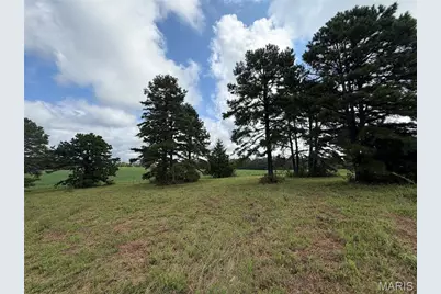 Tract 1 Bcr 810, Glendale, MO 63645 - Photo 18