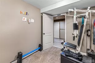 1210 Mossy Oak Ct Ct, Greendale, MO 63648 - Photo 60