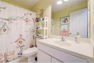 418 Dusty Brook Drive, O'Fallon, MO 63366 - Photo 28