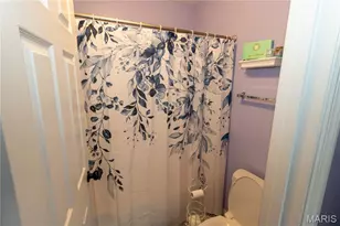 5176 Romaine Spring Dr, Fenton, MO 63026 - Photo 26