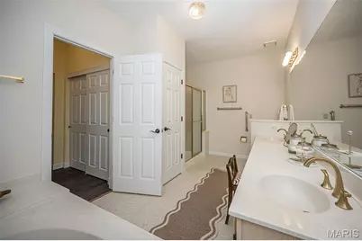 14143 Woods Mill Cove Drive, Chesterfield, MO 63017 - Photo 38