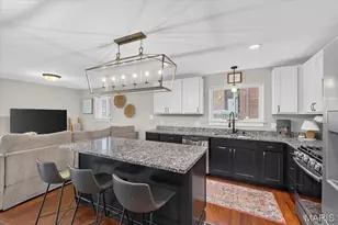 3320 Missouri Ave, Saint Louis, MO 63118 - Photo 14