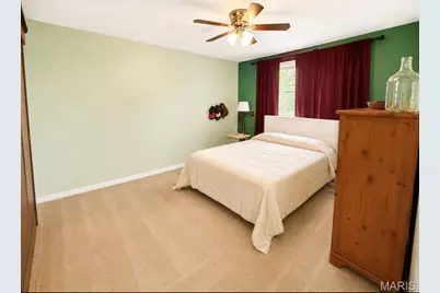 810 S School Street, Desloge, MO 63601 - Photo 42