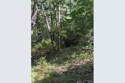 000 Aspen Road, Richwoods, MO 63071 - Photo 18