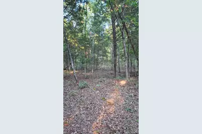 1212 Cedar Grove Road, Bonne Terre, MO 63628 - Photo 16