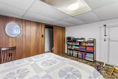 734 Janey Drive, Farmington, MO 63640 - Photo 28