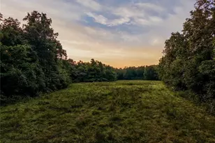 400 King School Rd, Ironton, MO 63650 - Photo 84