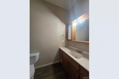 703 Burks Road, Farmington, MO 63640 - Photo 20