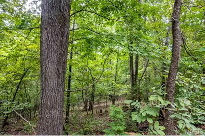 00 Hiawatha Drive, Grover, MO 65078 - Photo 30