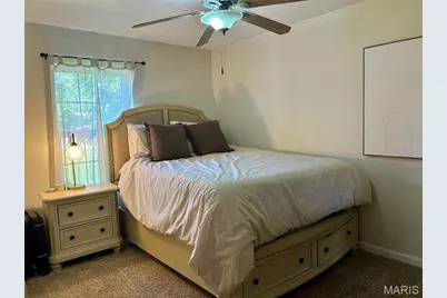 204 Buchanan Street, Bonne Terre, MO 63628 - Photo 16
