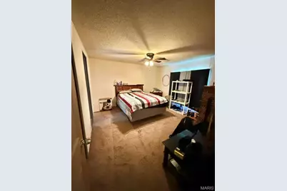 3582  (3580) Jarvis Road, Hillsboro, MO 63050 - Photo 10