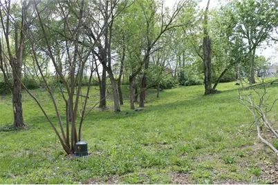 0 Virginia Street Lot 13, Saint Clair, MO 63077 - Photo 4