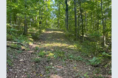 001 Wayne 526, Greendale, MO 63944 - Photo 24