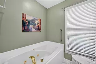 262 W Skyline Dr, Ballwin, MO 63011 - Photo 12