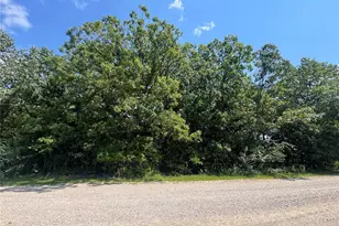 0 Rue Marne, Bonne Terre, MO 63628 - Photo 6